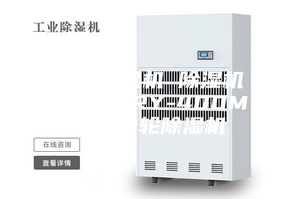 转轮除湿机 除湿机抽湿机 RY-400M小型转轮除湿机