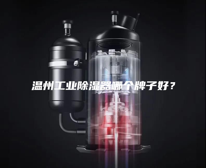 温州工业除湿器哪个牌子好？