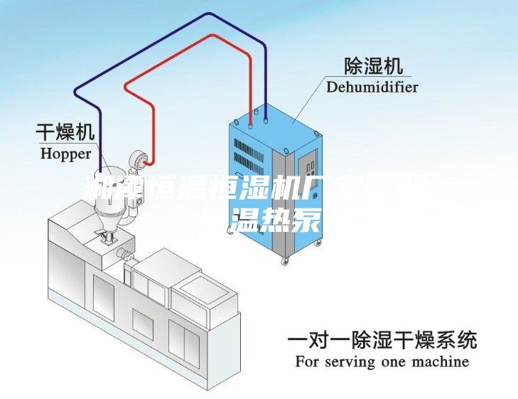 湘潭恒温恒湿机厂家定制,恒温热泵