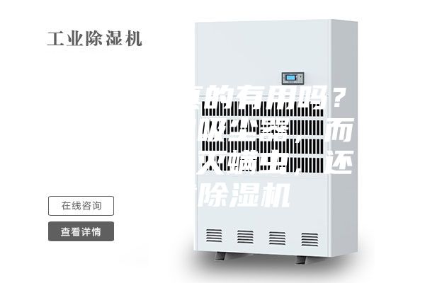 除螨仪真的有用吗？其实不如吸尘器，而要真正杀灭螨虫，还得靠除湿机