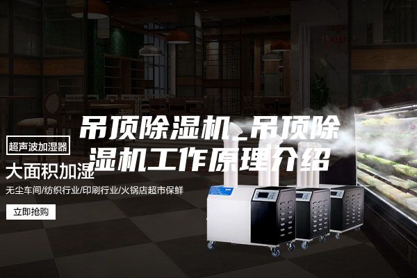 吊顶除湿机_吊顶除湿机工作原理介绍