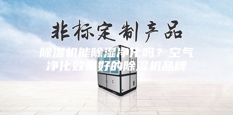 除湿机能除湿净化吗？空气净化效果好的除湿机品牌