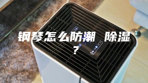 钢琴怎么防潮 除湿？