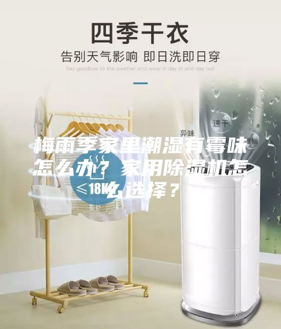 梅雨季家里潮湿有霉味怎么办？家用除湿机怎么选择？