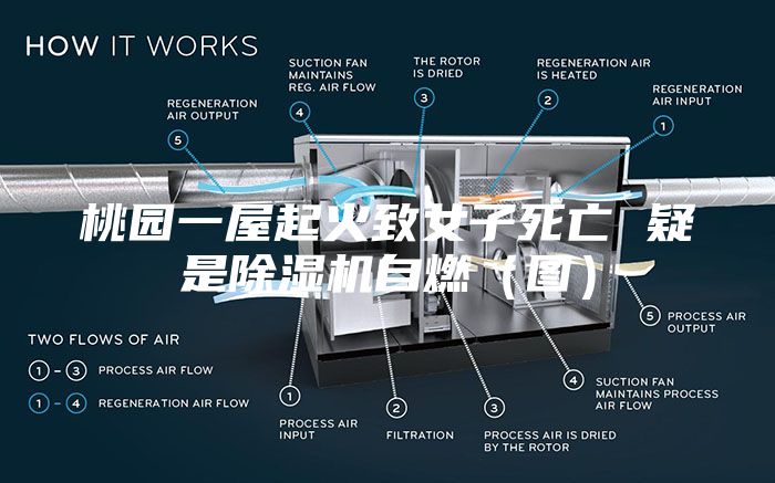 桃园一屋起火致女子死亡 疑是除湿机自燃（图）