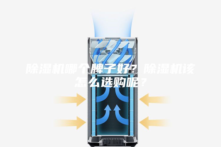 除湿机哪个牌子好？除湿机该怎么选购呢？