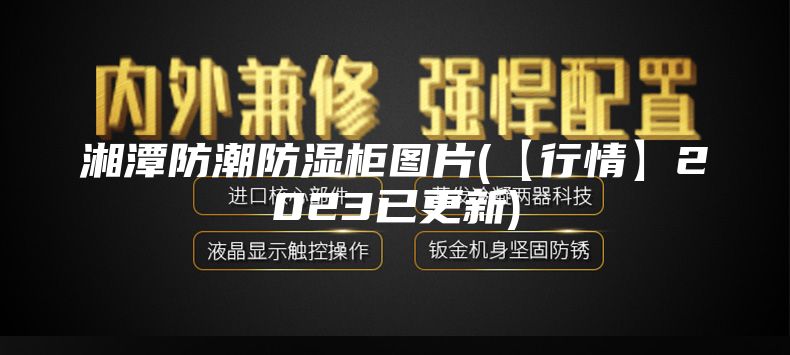 湘潭防潮防湿柜图片(【行情】2023已更新)