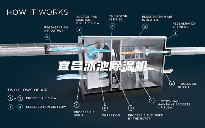 宜昌泳池除湿机