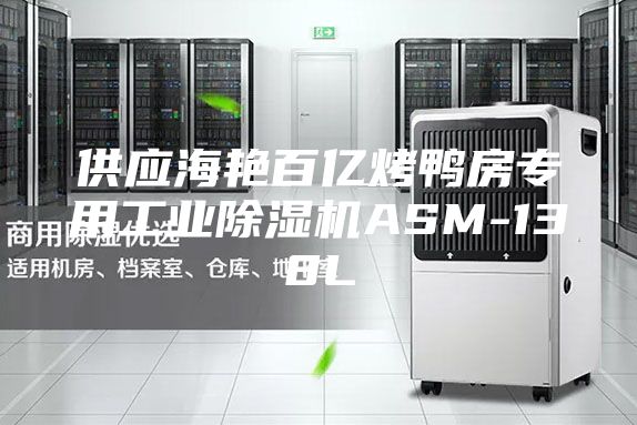 供应海艳百亿烤鸭房专用工业除湿机ASM-138L