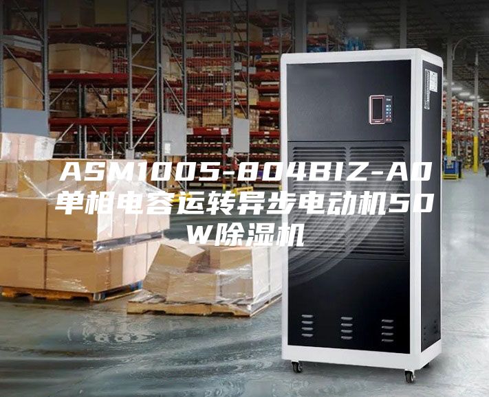 ASM1005-804BIZ-A0单相电容运转异步电动机50W除湿机