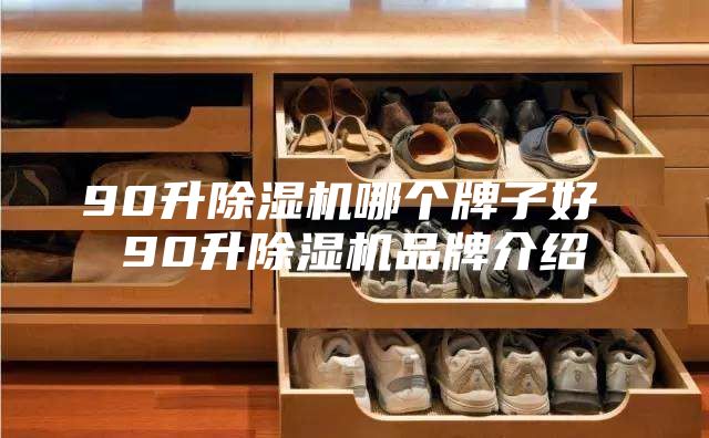 90升除湿机哪个牌子好 90升除湿机品牌介绍